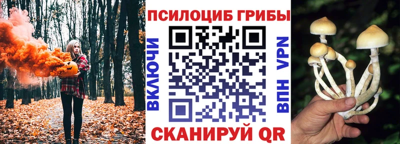 Псилоцибиновые грибы прущие грибы  ссылка на мегу зеркало  Новочеркасск 