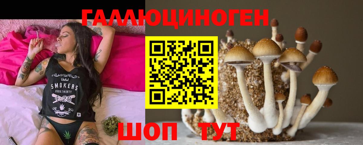 Псилоцибиновые грибы Magic Shrooms  Вход с VPN  Новочеркасск 