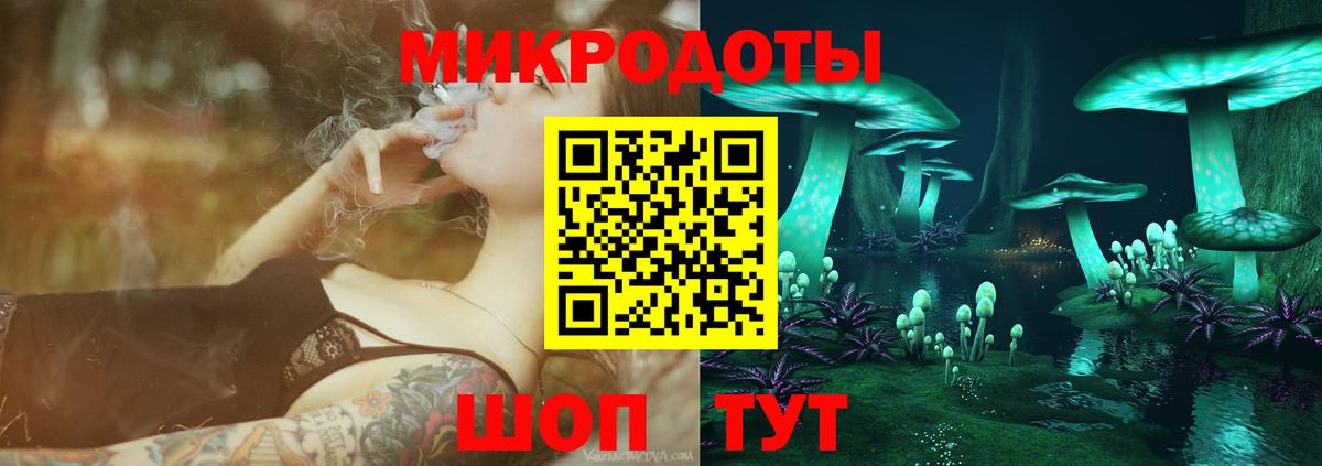 Псилоцибиновые грибы Psilocybine cubensis Новочеркасск