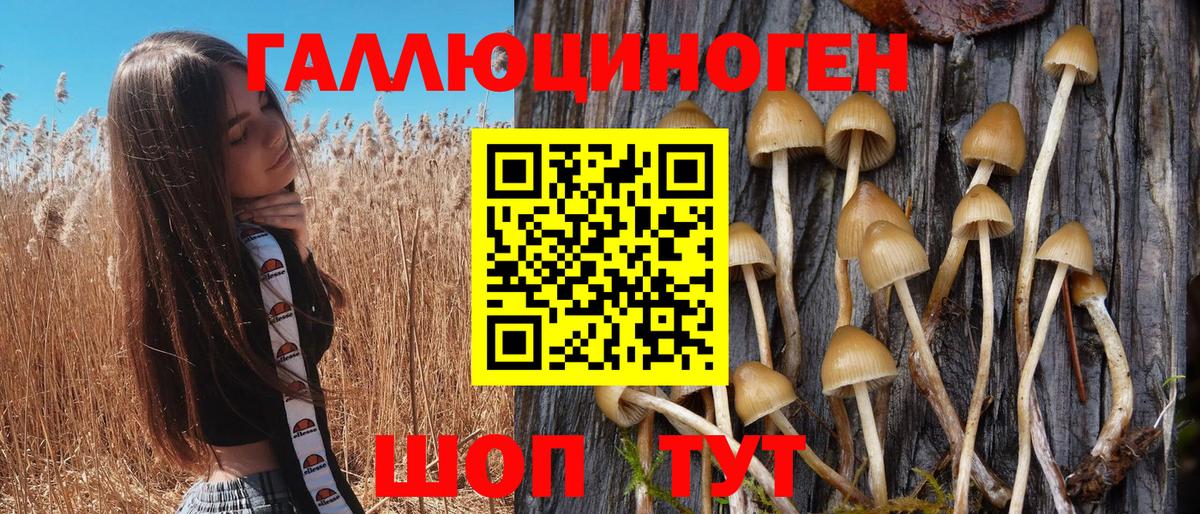 ГЕРОИН  Новочеркасск  Мефедрон кристаллы  ГАШИШ  Бошки Шишки  Метамфетамин  COCAIN  Вход с VPN 